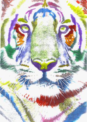 ROAR (tiger color version)