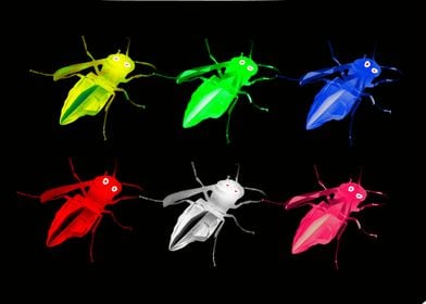 neon insects