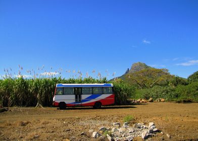 Bus Stop (Mauritius)