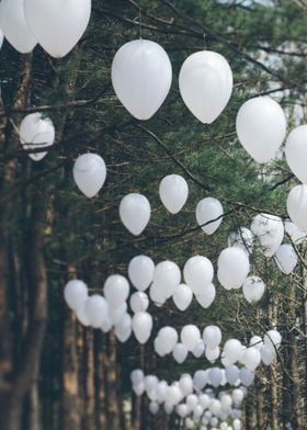 Lanterns lining a wooded romantic forest path