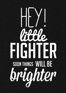 Little fighter