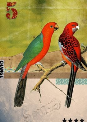Animal Collection -- Birds