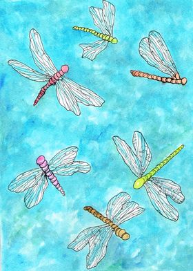 Dragonfly