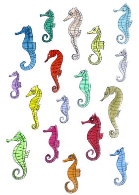 seahorses under the color