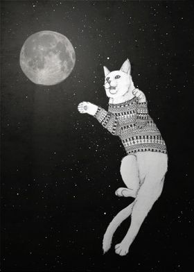 Cat trying to catch the Moon