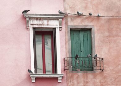 Venetian Windows and Pigeons in Rose Pink and Green