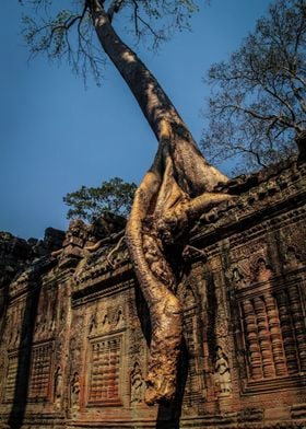 Preah Khan Temple II