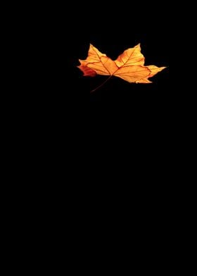 A Falling Leaf