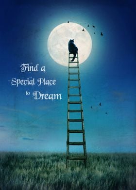 Find a Special Place to Dream
