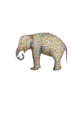 elephant color