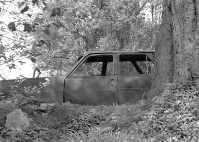 Once a stately Holden HR station wagon. Now in a state  ... 