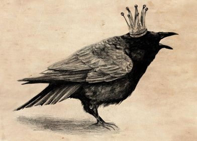 Crow in Crown