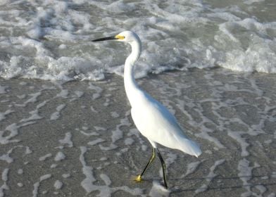 Sea Foam Bath