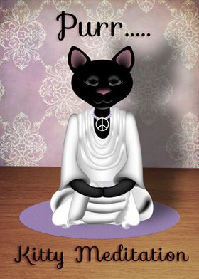 Kitty Meditation