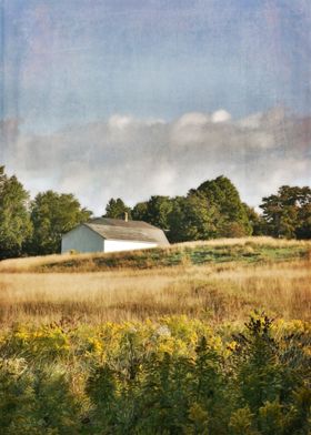 White Barn in Late Summer 