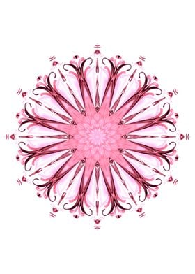 beuatiful pink floral sanskrit on white background