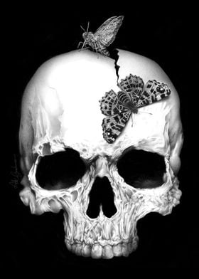 Skull and soul