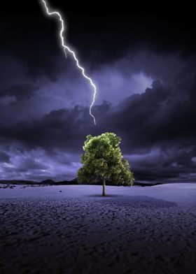 Lightning and tree