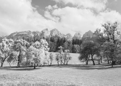 Black and White Austrian Landscape