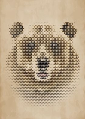 Geometric Bear Portrait