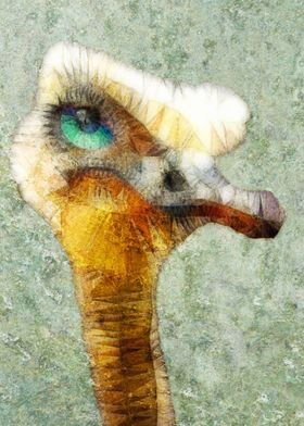 abstract ostrich