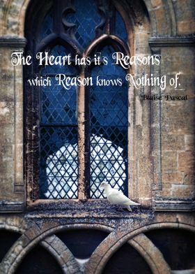 The Heart has it's Reasons