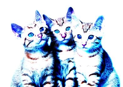 Cute kittens side by side, abstract blue colored