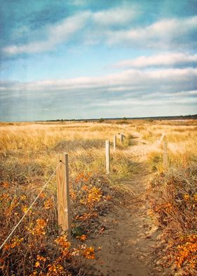 South Cape Beach Trail - Mashpee, Cape Cod, Massachuset ... 