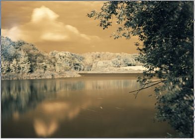 Infrared photography I