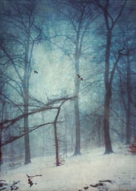Forest clearing on a cold foggy winter day - texturized ... 