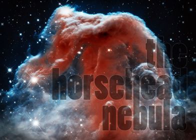 The Horsehead Nebula - photography by Hubble Space Tele ... 