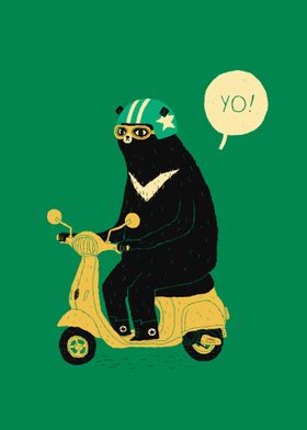 scooter bear