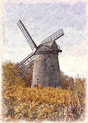 Bidston Windmill in Oils