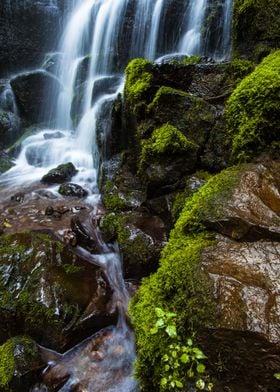 Mossy Boulders Around Fairy Falls