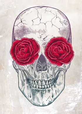 Skull   Roses