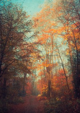 Path through fall forest