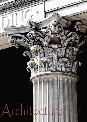 A column of the classical greek order great as a profes ... 
