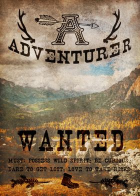 Adventurer Wanted