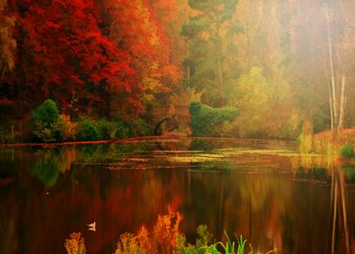 Autumn reflected