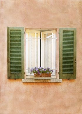 Pansies in Window Box Venice Italy