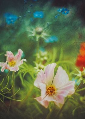 Painterly Spring flowers - texturized phoograph