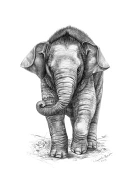 Elephant Baby G046
