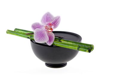 Zen Orchid