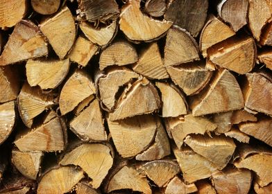 Austrian Wood Pile