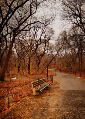 Abandoned park bench in New Yorks Central Park on the c ... 