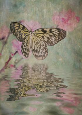 Paper Kite Butterfly perched upon pink blossoms with re ... 