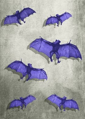 Bat Flying Fox remixed