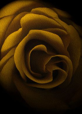 Textured Yellow Rose