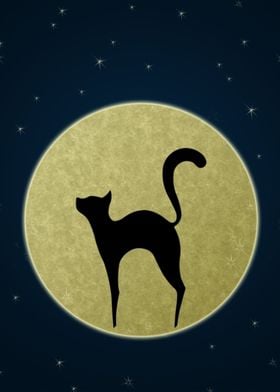 Cat silhouette at night