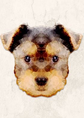 abstract yorkie